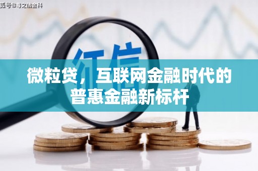 平顶山微粒贷，互联网金融时代的普惠金融新标杆