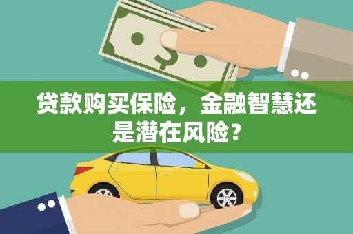 平顶山贷款购买保险，金融智慧还是潜在风险？