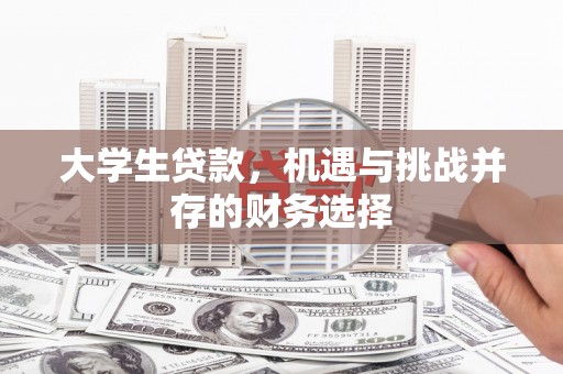 平顶山大学生贷款，机遇与挑战并存的财务选择