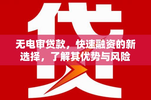 平顶山无电审贷款，快速融资的新选择，了解其优势与风险