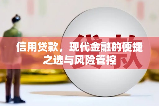 平顶山信用贷款，现代金融的便捷之选与风险管控