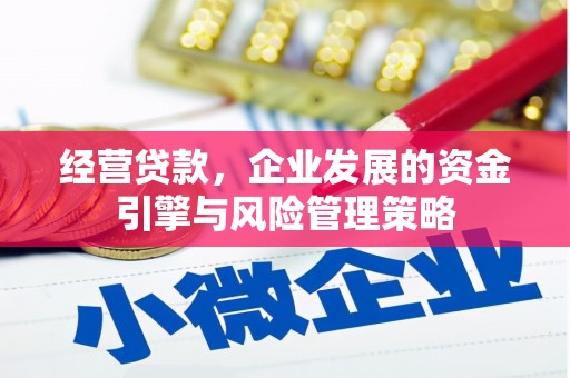 平顶山经营贷款，企业发展的资金引擎与风险管理策略