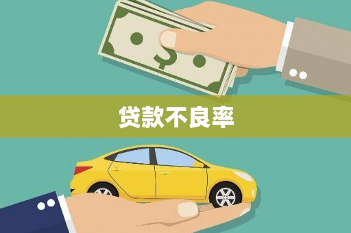 平顶山贷款不良率