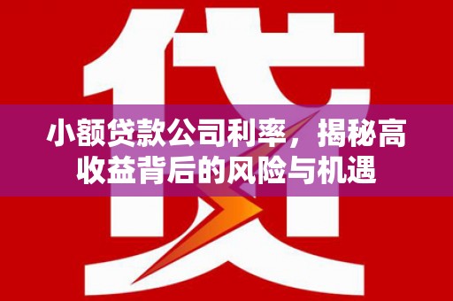 平顶山小额贷款公司利率，揭秘高收益背后的风险与机遇
