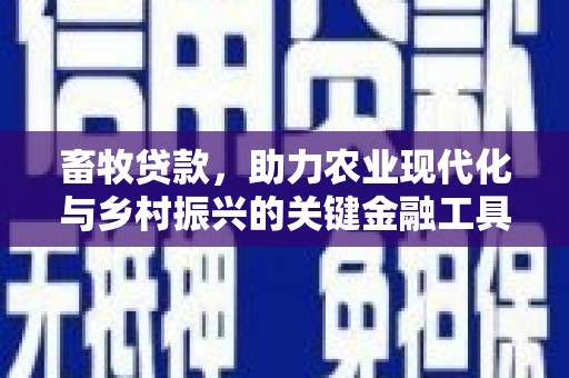 平顶山畜牧贷款，助力农业现代化与乡村振兴的关键金融工具