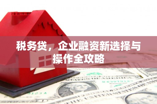 平顶山税务贷，企业融资新选择与操作全攻略
