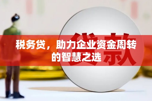 平顶山税务贷，助力企业资金周转的智慧之选