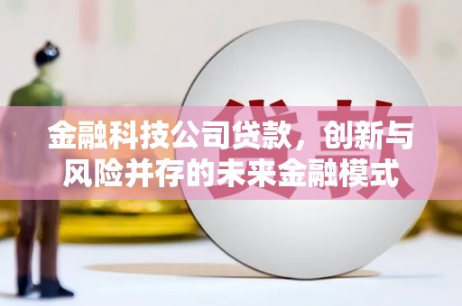 平顶山金融科技公司贷款，创新与风险并存的未来金融模式