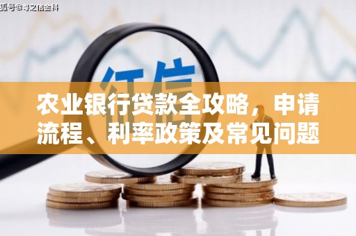 平顶山农业银行贷款全攻略，申请流程、利率政策及常见问题解析