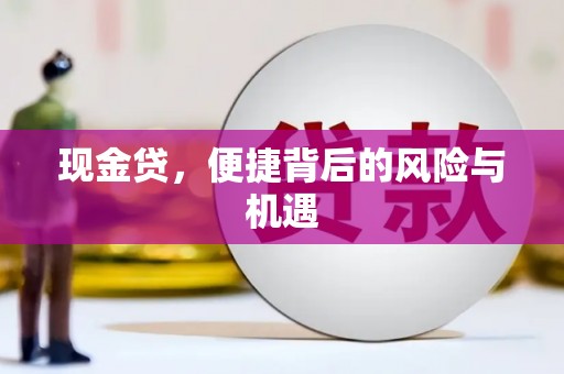平顶山现金贷，便捷背后的风险与机遇