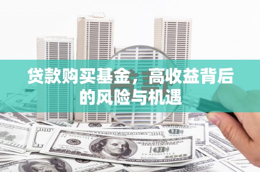 平顶山贷款购买基金，高收益背后的风险与机遇