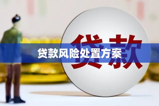平顶山贷款风险处置方案