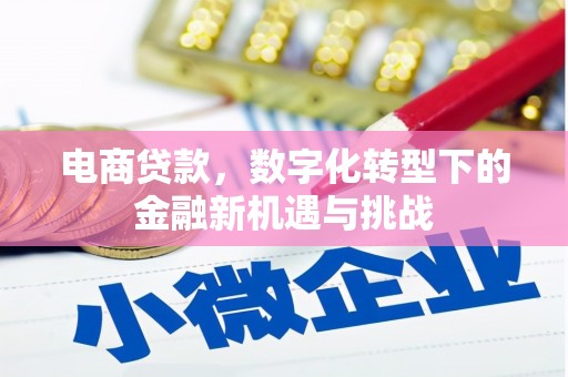 平顶山电商贷款，数字化转型下的金融新机遇与挑战