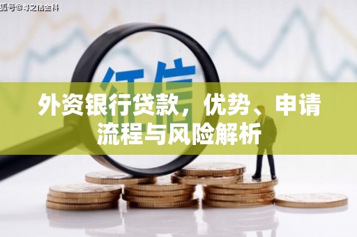 平顶山外资银行贷款，优势、申请流程与风险解析