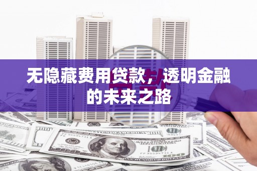 平顶山无隐藏费用贷款，透明金融的未来之路