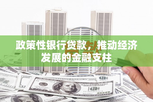 平顶山政策性银行贷款，推动经济发展的金融支柱