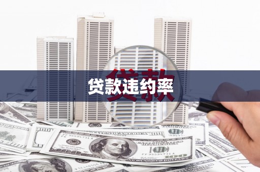 平顶山贷款违约率