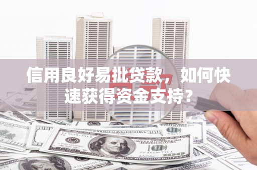 平顶山信用良好易批贷款，如何快速获得资金支持？