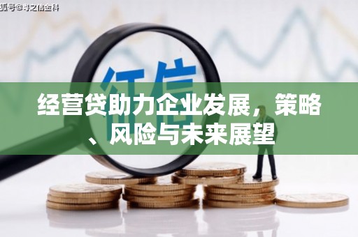 平顶山经营贷助力企业发展，策略、风险与未来展望