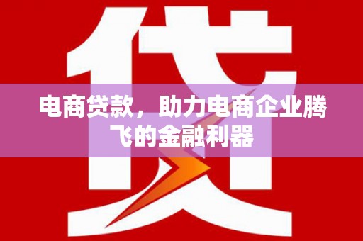 平顶山电商贷款，助力电商企业腾飞的金融利器