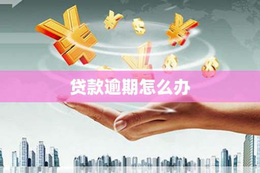 平顶山贷款逾期怎么办