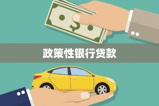 平顶山政策性银行贷款