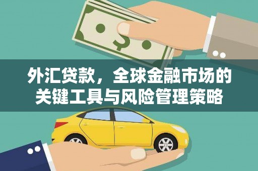 平顶山外汇贷款，全球金融市场的关键工具与风险管理策略