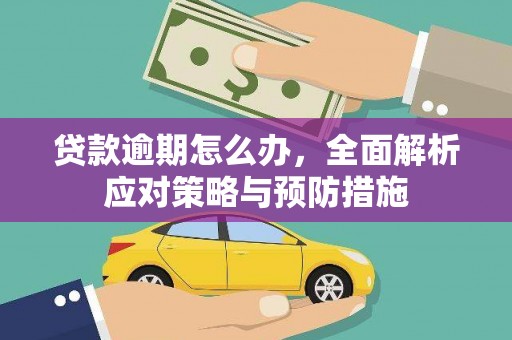 平顶山贷款逾期怎么办，全面解析应对策略与预防措施