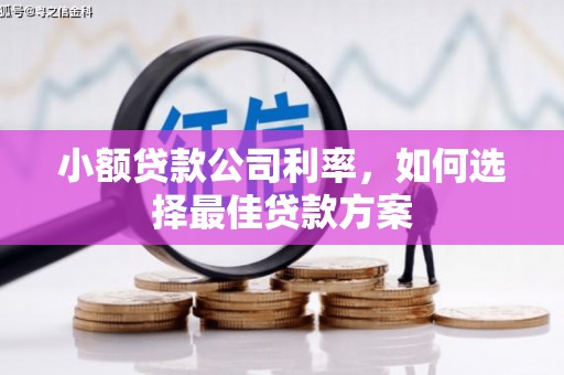 平顶山小额贷款公司利率，如何选择最佳贷款方案