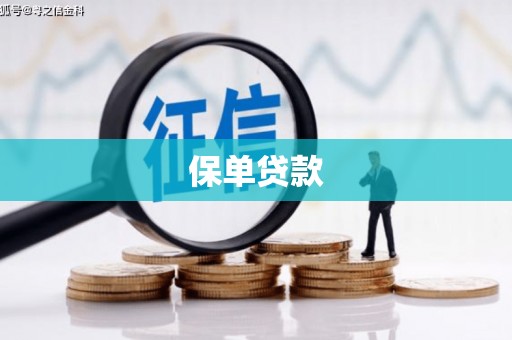 平顶山保单贷款