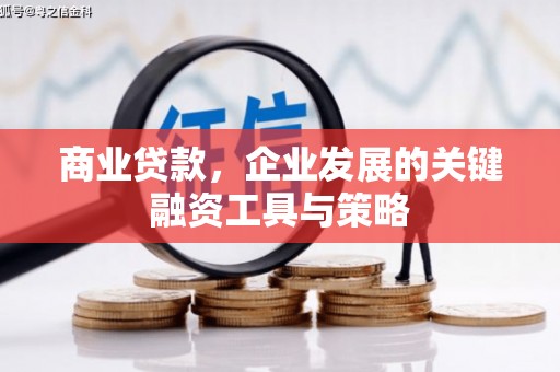 平顶山商业贷款，企业发展的关键融资工具与策略