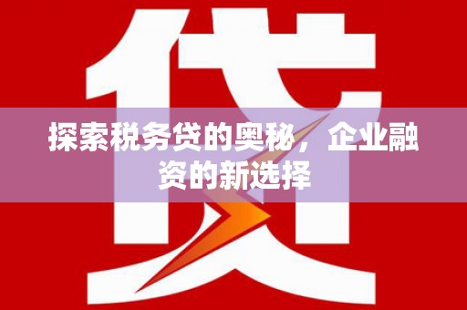 平顶山探索税务贷的奥秘，企业融资的新选择