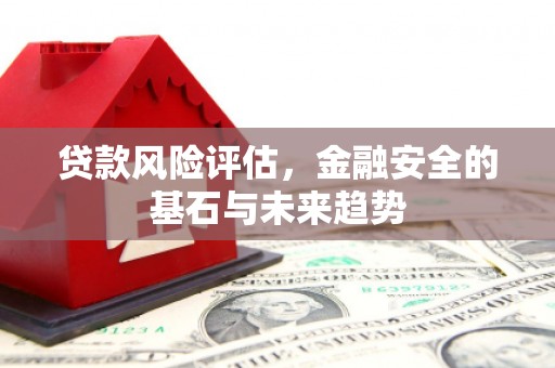 平顶山贷款风险评估，金融安全的基石与未来趋势