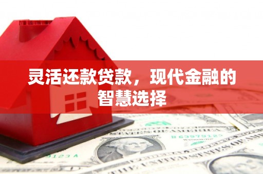 平顶山灵活还款贷款，现代金融的智慧选择