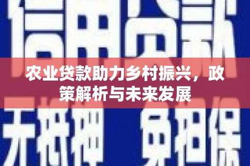 平顶山农业贷款助力乡村振兴，政策解析与未来发展