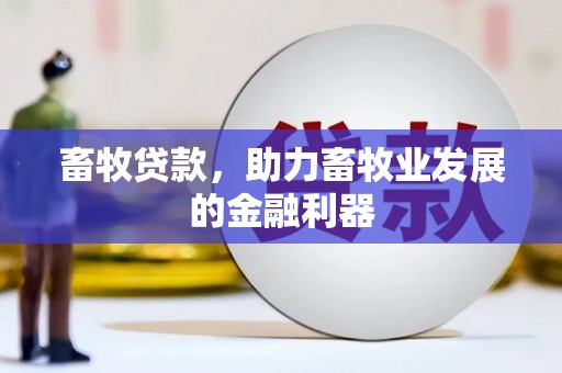 平顶山畜牧贷款，助力畜牧业发展的金融利器
