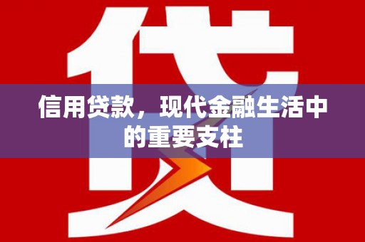 平顶山信用贷款，现代金融生活中的重要支柱