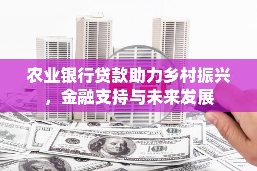 平顶山农业银行贷款助力乡村振兴，金融支持与未来发展