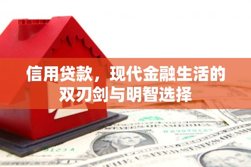平顶山信用贷款，现代金融生活的双刃剑与明智选择