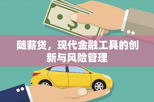 平顶山随薪贷，现代金融工具的创新与风险管理