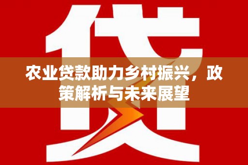 平顶山农业贷款助力乡村振兴，政策解析与未来展望