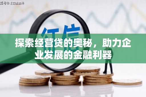 平顶山探索经营贷的奥秘，助力企业发展的金融利器