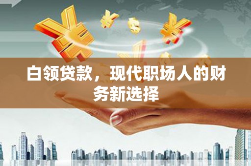 平顶山白领贷款，现代职场人的财务新选择