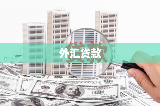 平顶山外汇贷款