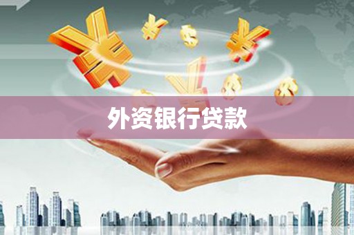 平顶山外资银行贷款