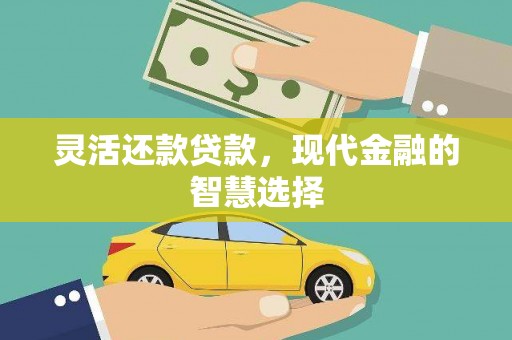 平顶山灵活还款贷款，现代金融的智慧选择