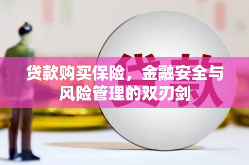 平顶山贷款购买保险，金融安全与风险管理的双刃剑