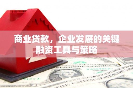 平顶山商业贷款，企业发展的关键融资工具与策略