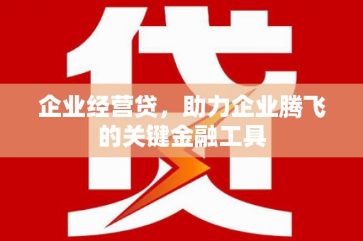 平顶山企业经营贷，助力企业腾飞的关键金融工具