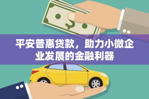 平顶山平安普惠贷款，助力小微企业发展的金融利器